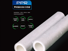 PPR��̬���Ϲܲ�